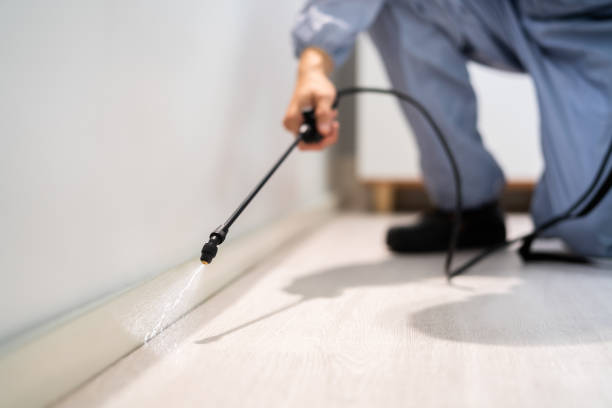 Licensed Termite Control service in Liberty County County, GA - Nex Pest Control