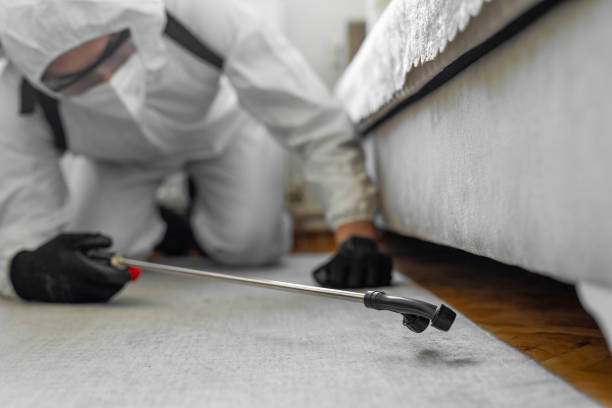 Professional Termite Control technician working in Liberty County County, GA